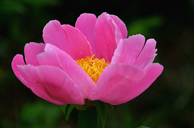 照片 016_副本.jpg