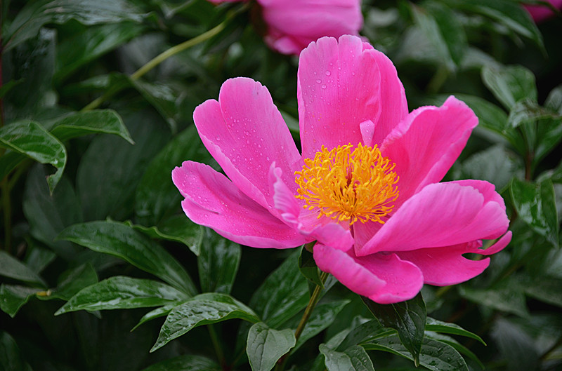 照片 022_副本.jpg