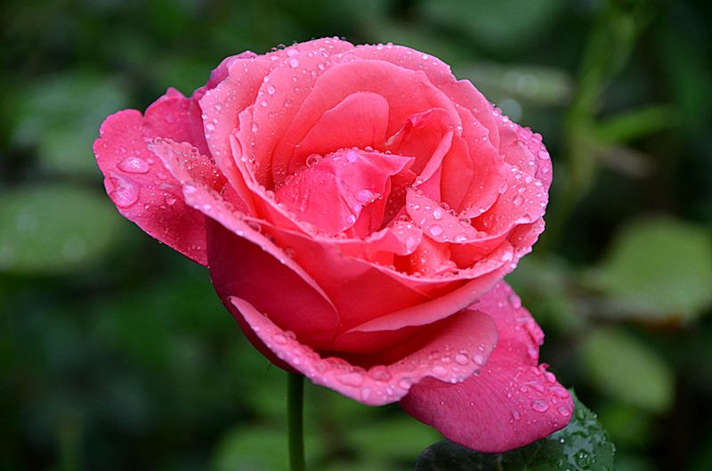 照片 066_副本.jpg