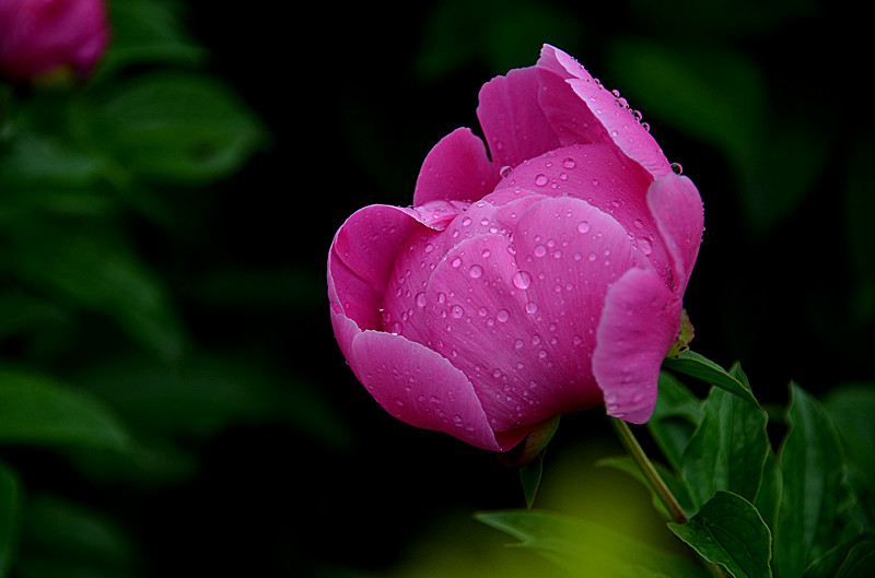 照片 052_副本.jpg