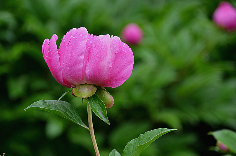 照片 057_副本.jpg