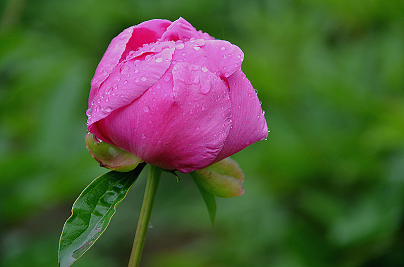 照片 068_副本.jpg