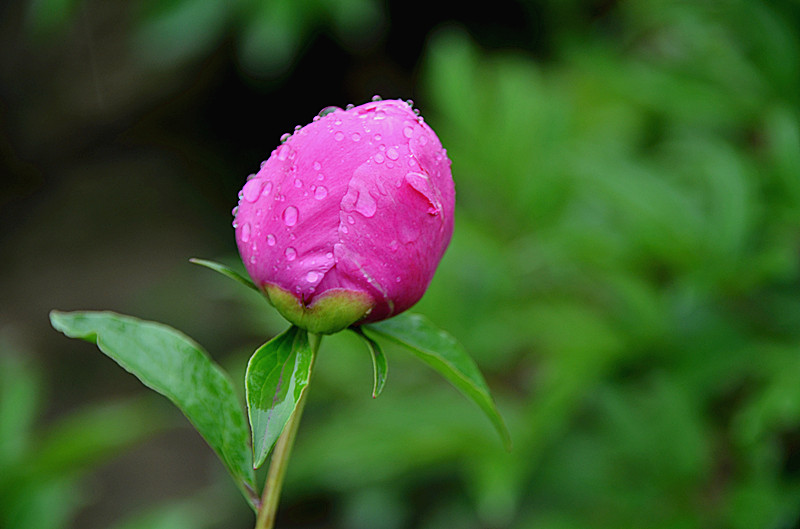 照片 069_副本.jpg