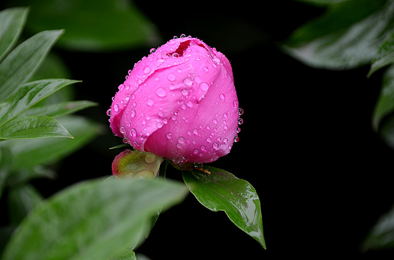 照片 072_副本.jpg