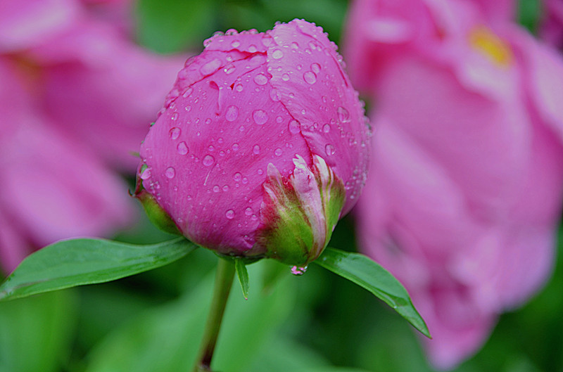 照片 097_副本.jpg