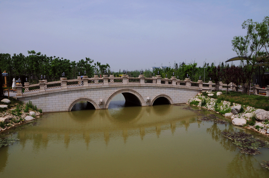 DSC_3881.JPG