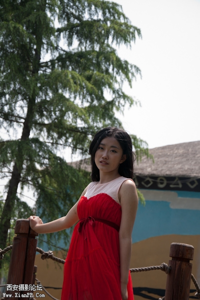 DSC_0964.jpg