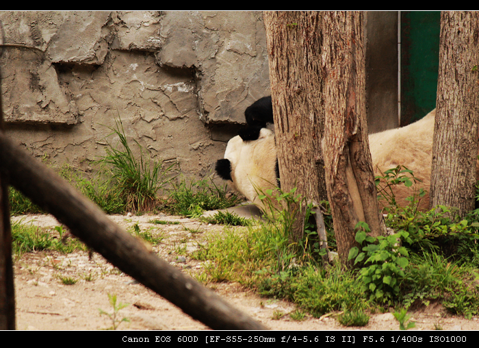 nEO_IMG_照片 168.jpg