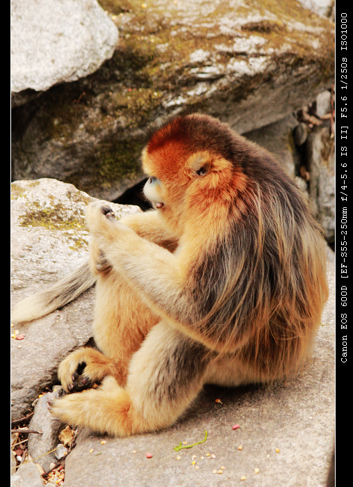 nEO_IMG_照片 198.jpg