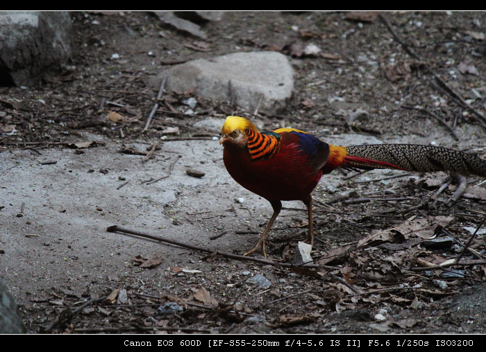 nEO_IMG_照片 320.jpg