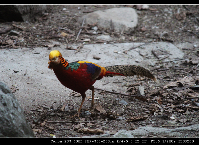 nEO_IMG_照片 324.jpg