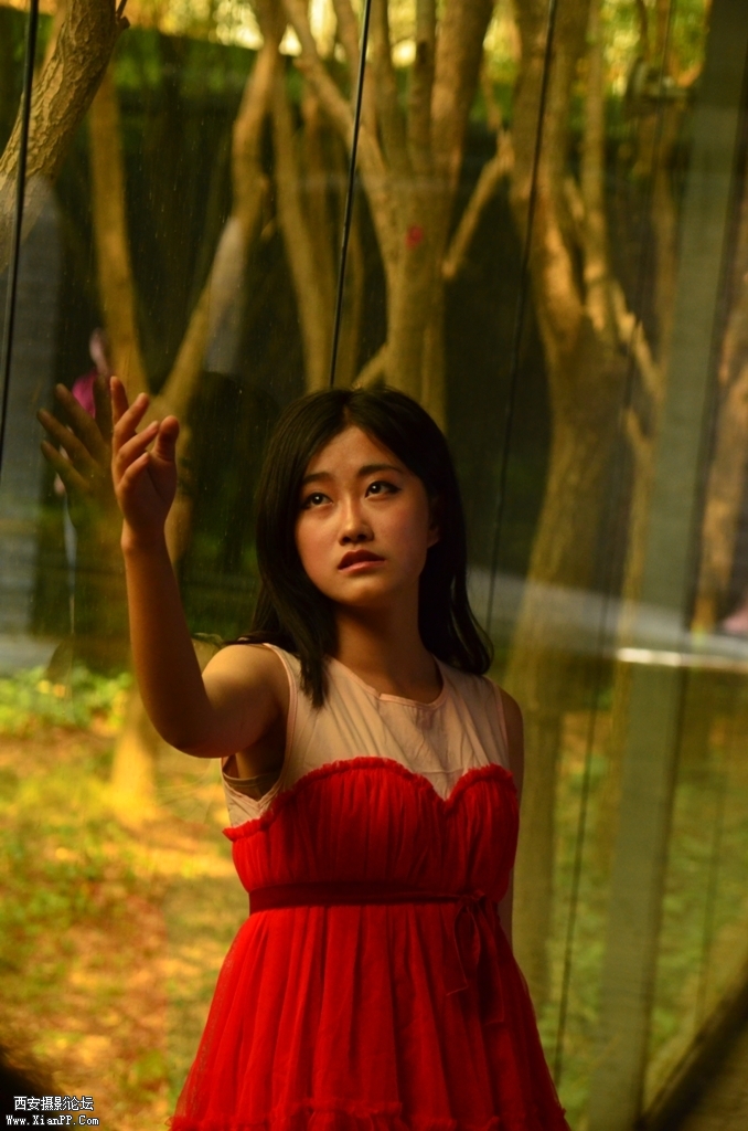 1606217g64t2wlwz2sbma7.jpg