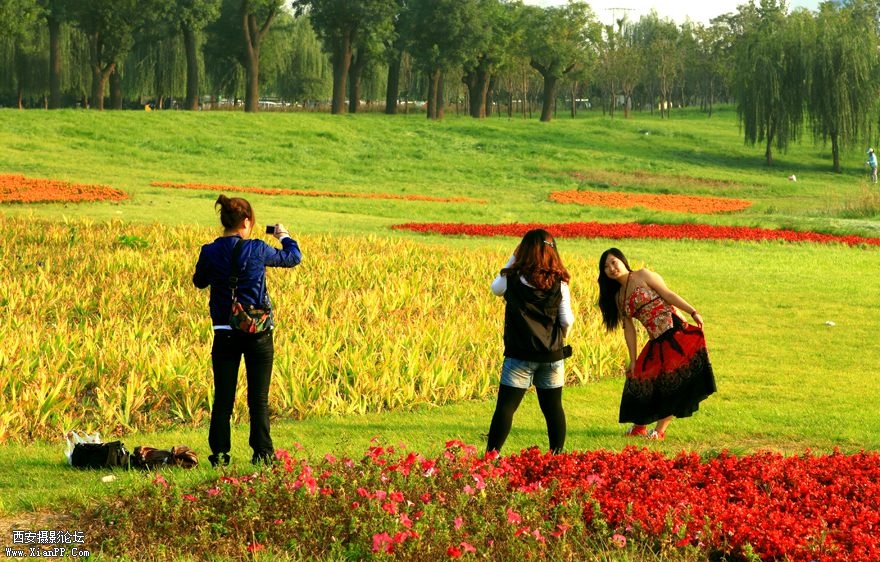 13我恋世园秀一把【世园参赛作品】