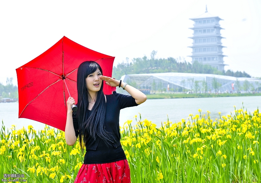 _JY12899.jpg