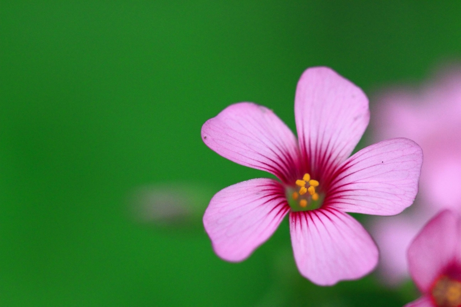 调整大小 IMG_0131.JPG