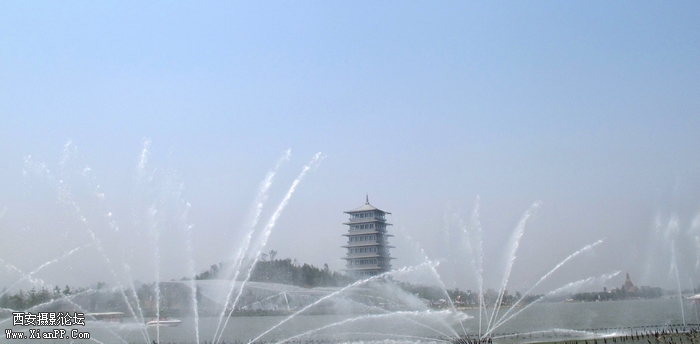 IMG_5555ab.jpg
