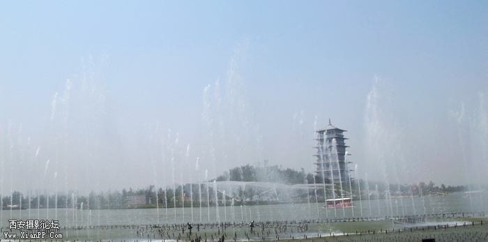 IMG_5557ab.jpg