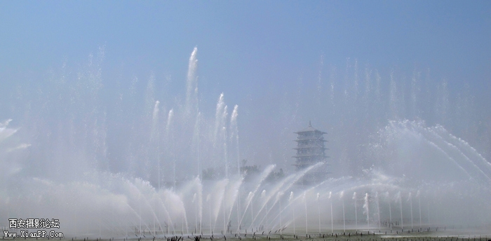 IMG_5560ab.jpg