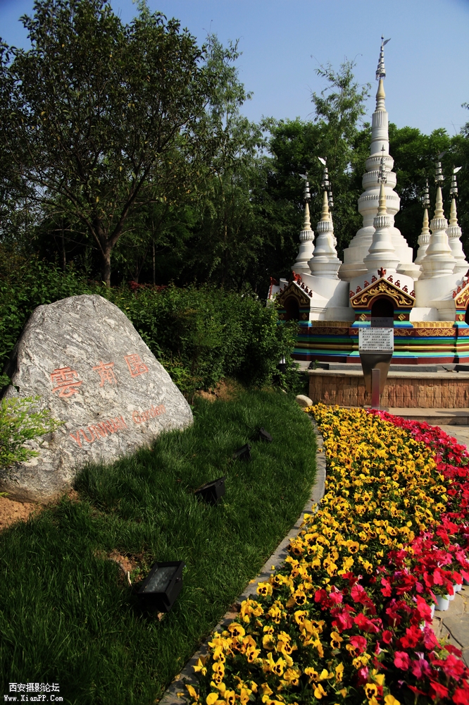 ：《世园小品一组7-4