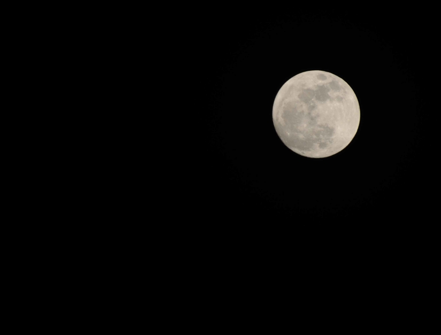 _DSC8095.jpg