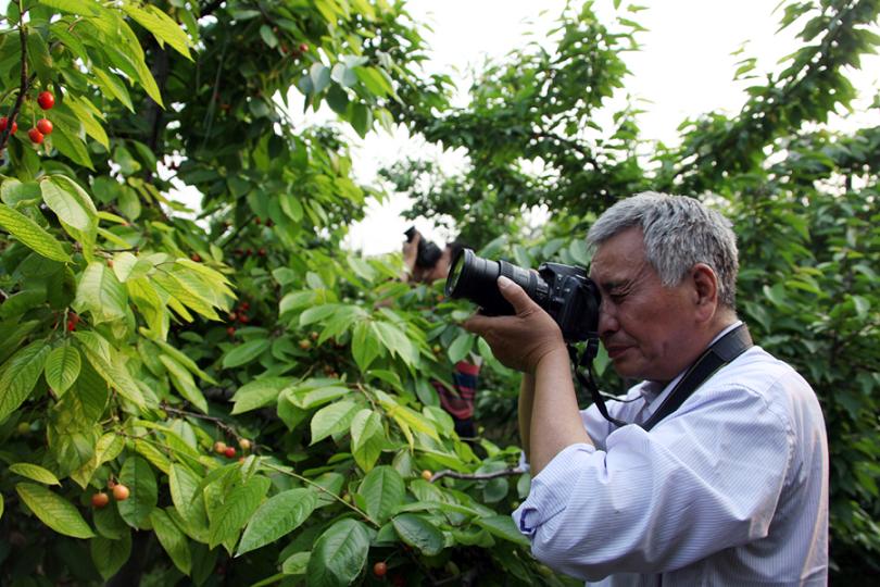 3樱桃红了的时候 (18).jpg