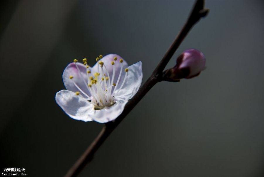 DSC_0014 as Smart Object-1.jpg
