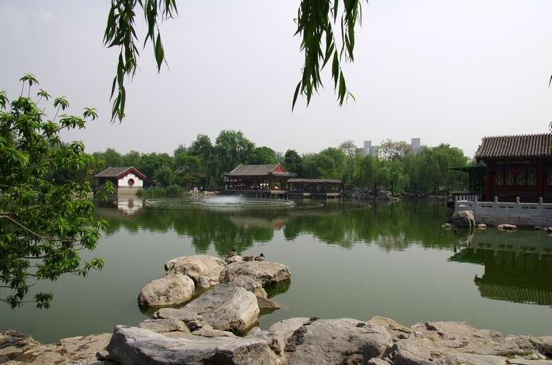 IMGP7129.JPG