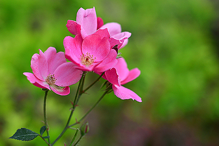 照片 027_副本.jpg