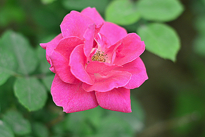 照片 038_副本.jpg