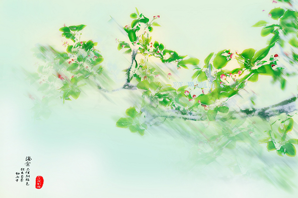 幻梦--西府海棠