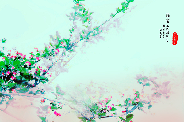 幻梦--西府海棠