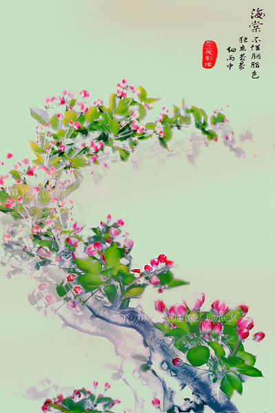 幻梦--西府海棠