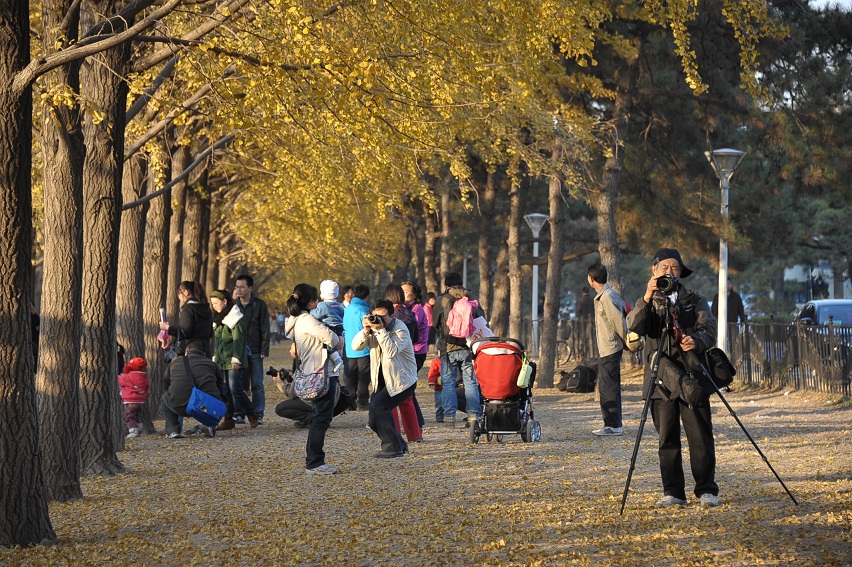 DSC_8574.JPG