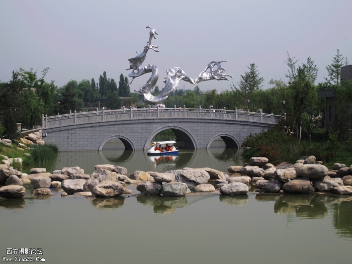 IMG_6216ab.jpg