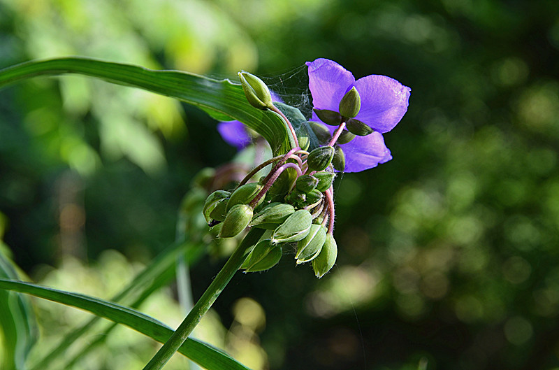 照片 086_副本.jpg
