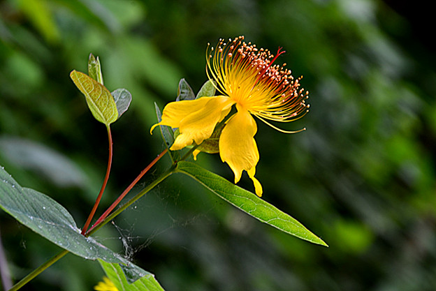 照片 097_副本.jpg