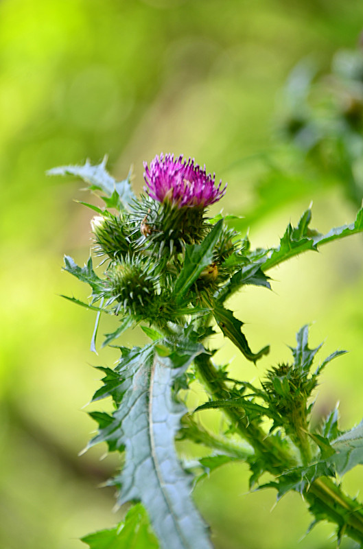 照片 110_副本.jpg