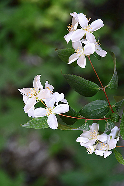 照片 135_副本.jpg