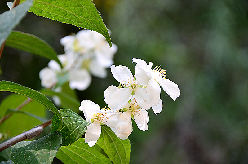 照片 136_副本.jpg