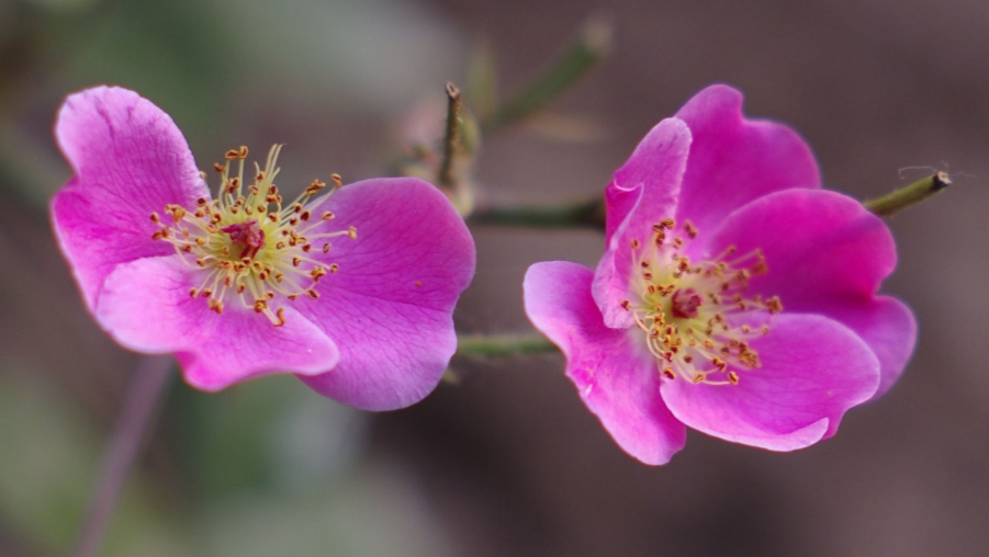 照片 137副本.jpg