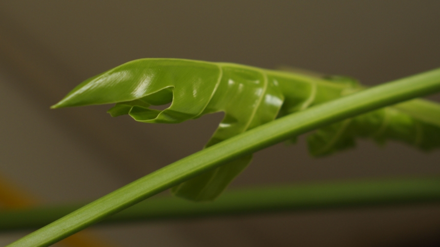 照片 096副本.jpg