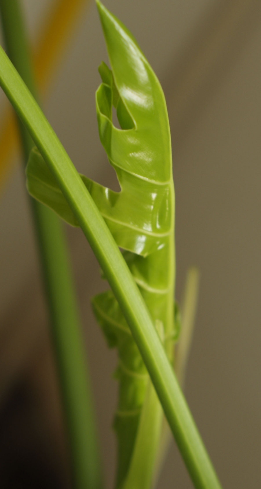 照片 097副本.jpg