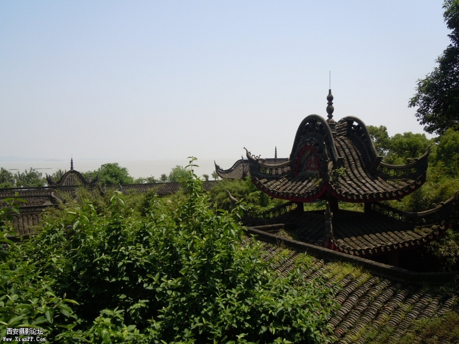 照片 1701.jpg