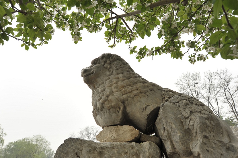 DSC_6219.JPG