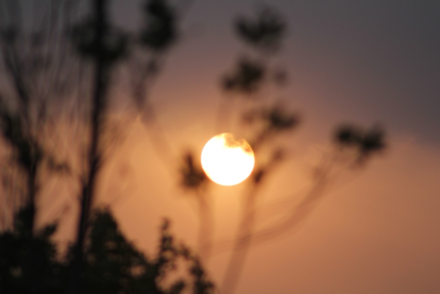 IMG_1575.JPG