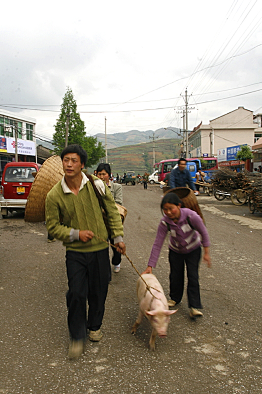 DPP_0005.JPG