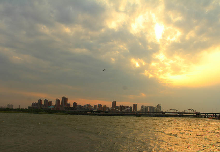 IMG_4895_副本.jpg