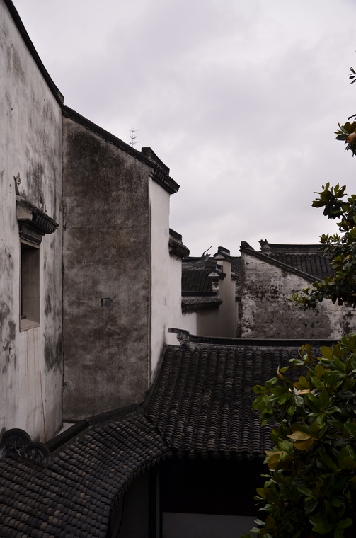 _DSC8840.jpg