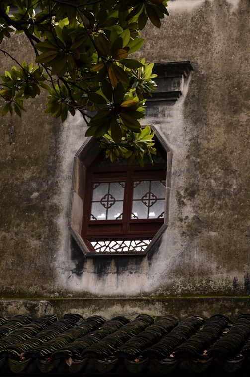 _DSC8873.jpg