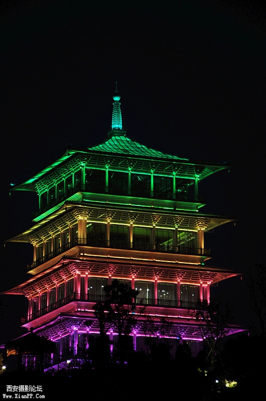 DSC_0084.jpg
